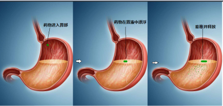 香港蓝月亮官方网站